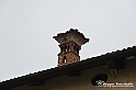 VBS_5695 - Riqualificazione Abbazia di Staffarda